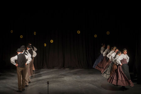 Maroltovo srečanje znova združilo koroške folklorne skupine (16)